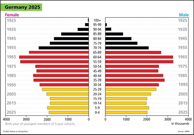 german demographics